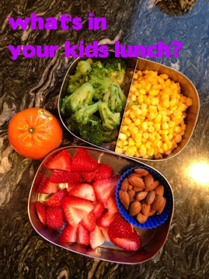 VEGAN Kid Lunches