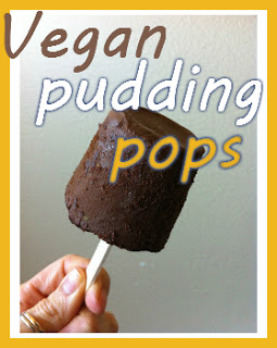 RAW Chocolate Pudding Pops